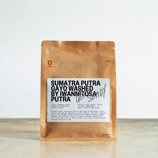 SUMATRA PUTRA GAYO WASHED