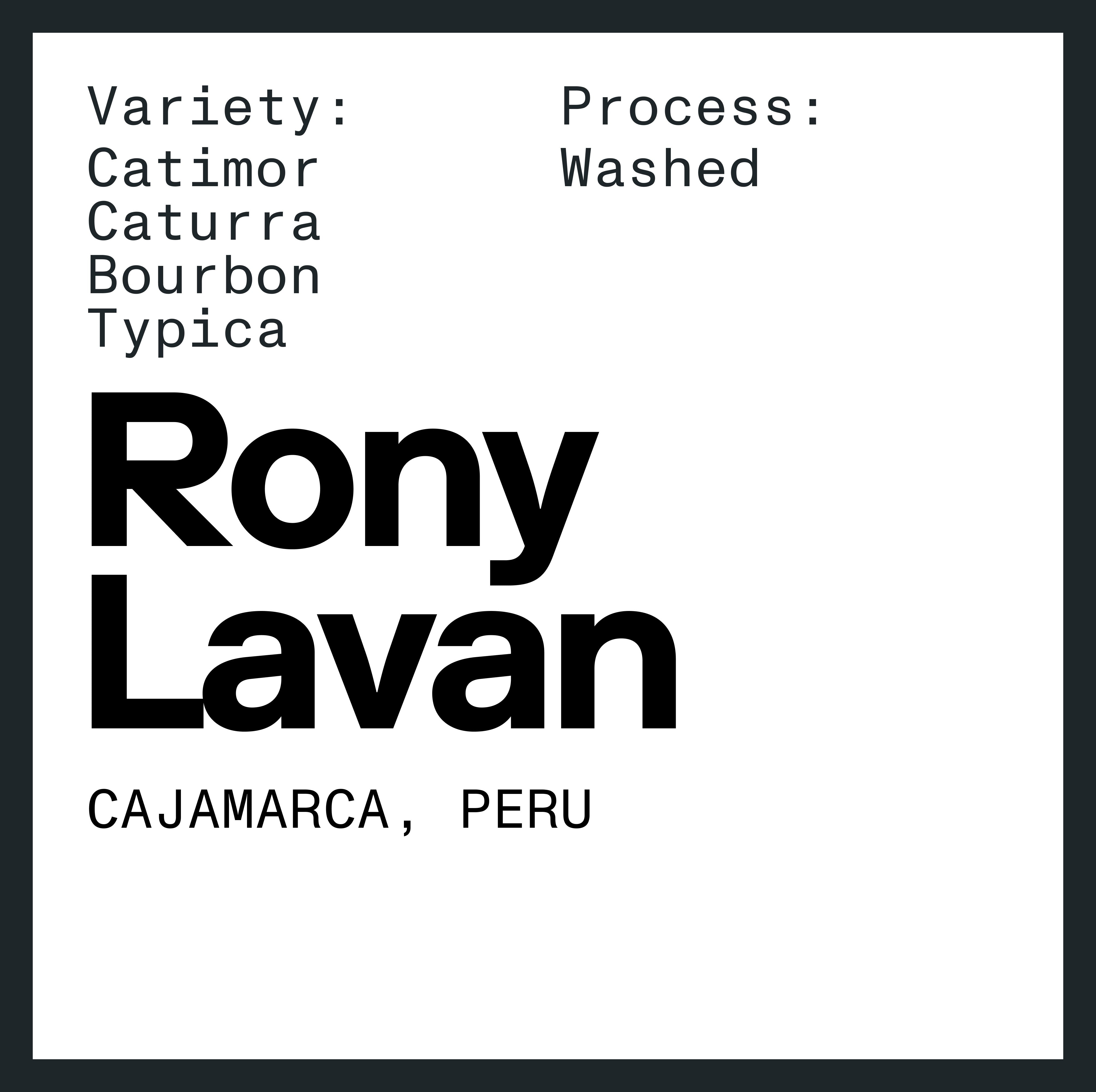 Rony Lavan
